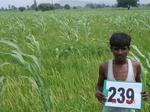 128510239b-rainfed-agriculture-mixedcrop-rice-cotton-sorghum.gif
