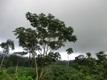 45568CIMG2653.JPG
