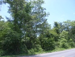 33582RIMG0247.JPG