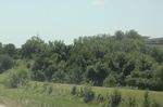 2024-08-05_13-38-03_CD20B58F-CC3B-4DB4-AC39-5F76BC0F759D_1_201_a.jpeg