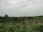 51985CIMG0729.JPG