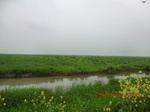 51757CIMG0193.JPG