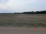 29511CIMG0831.JPG