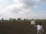 7909gt109b_cropland_farmfallow_balackcottonsoils.jpg