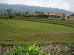 13780IMG_4042.JPG
