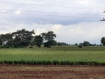 56057CIMG6746.JPG