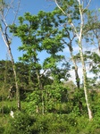 31951IMG_5658.jpg