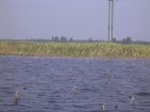 5932007-08-05_10-13-08_small.jpg