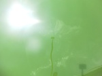 58385CIMG2834.JPG