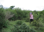 1040908-shrubland-valley-botton-includedb.gif