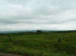 25849P1020268.JPG
