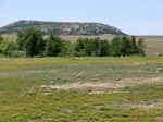30106CIMG0172.JPG