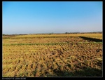 39633nEO_IMG_CIMG0370.jpg
