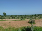 19456P1010303.JPG