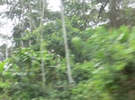 49638CIMG5975.JPG