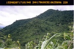 40502Anh4920.JPG