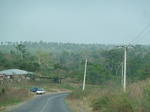 51502P1000661.JPG