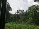 49662CIMG5999.JPG