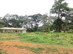 48993CIMG5330.JPG