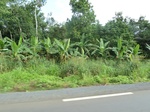 25505P1020350.JPG