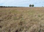 26145P1060830.JPG