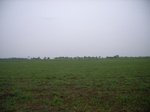 3700RIMG0003.JPG