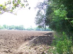 1781824042008(9).JPG