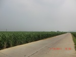33081CIMG2316.JPG