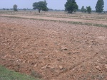 34631RIMG0098.JPG