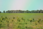 2024-08-05_14-43-46_2C1A66D4-27BD-49B0-B623-63A35B6C7CD2.jpeg