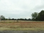 35756DSC02515.JPG