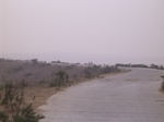 2905 009.jpg