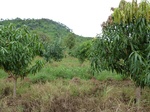 18544P1000380.JPG