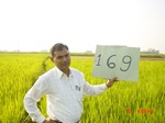 6730gt169-cropland-1.jpg