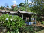 30346CIMG1885.JPG