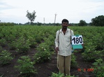 126580180b-irrigated-supplemental-groundwater-sugarcane-cotton-millet.gif