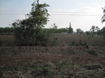 28156IMG_4987.JPG