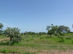19490P1010337.JPG