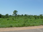 19567P1010414.JPG