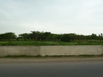 18681P1000519.JPG