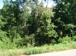 32522p179.jpg