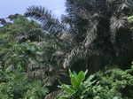 49803CIMG6140.JPG