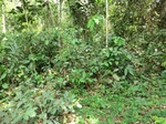 46482CIMG0771.JPG