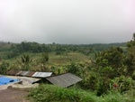 30838CIMG0688.JPG