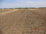 29660CIMG0937.JPG