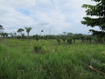 32020IMG_5553.JPG