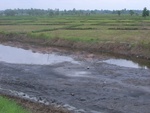 34572RIMG0038.JPG