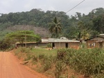49109CIMG5446.JPG