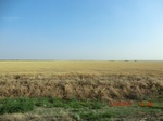 29905CIMG1470.JPG
