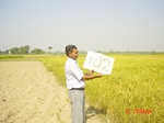 6638gt102-cropland-1.jpg